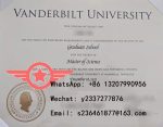 VU MD fake degree sample
