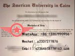 AUC Computer Engineering Atlas of Science fake certificate sample