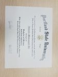 PSU BSc fake diploma sample