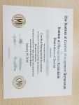 CMA fake certificate sample