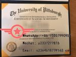 University of Pittsburgh MD fake certificate sample