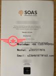 SOAS LLM fake certificate sample