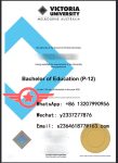 VU Bachelor of Engineering fake diploma sample
