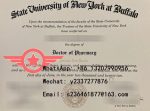 UB Doctor of Pharmacy fake diploma sample