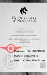 Sample fake certificate from Newcastle University, Australia