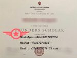 IU MBA fake diploma sample
