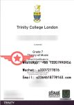 TCL Music Performance Level 6 fake diploma sample