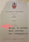 University of Essex LLB fake certificate sample