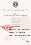 Newcastle University BSc fake diploma sample