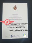 Cardiff Metropolitan University Data Science MSc fake diploma sample
