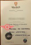 Murdoch University postgraduate education fake diploma sample