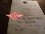 Newcastle University BSc fake diploma sample