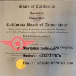 California CPA fake certificate sample