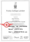 TCL Music Performance Level 6 fake diploma sample