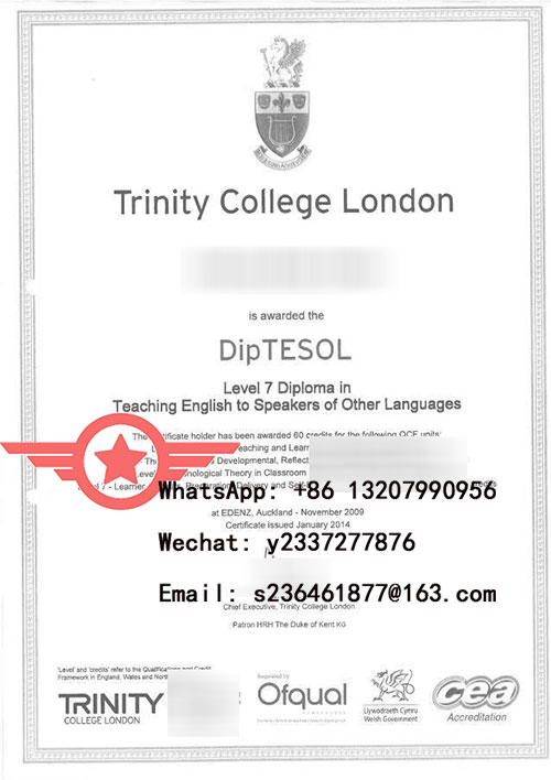 TCL English fake certificate sample