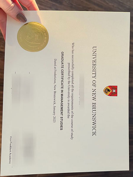 UNB fake certificate