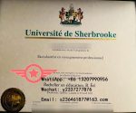 UdeS fake diploma
