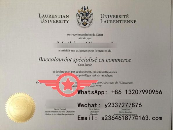 Bachelor’s-Degree-in-Business