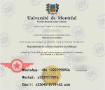 UdeM fake degree