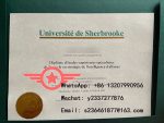 UdeS fake diploma
