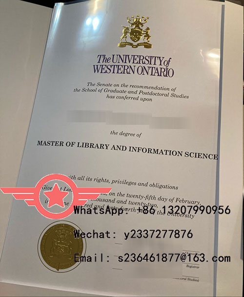 MASTER-OF-LIBRARY-AND-INFORMATION-SCIENCE