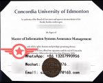 Master-of-Information-Systems-Assurance-Management