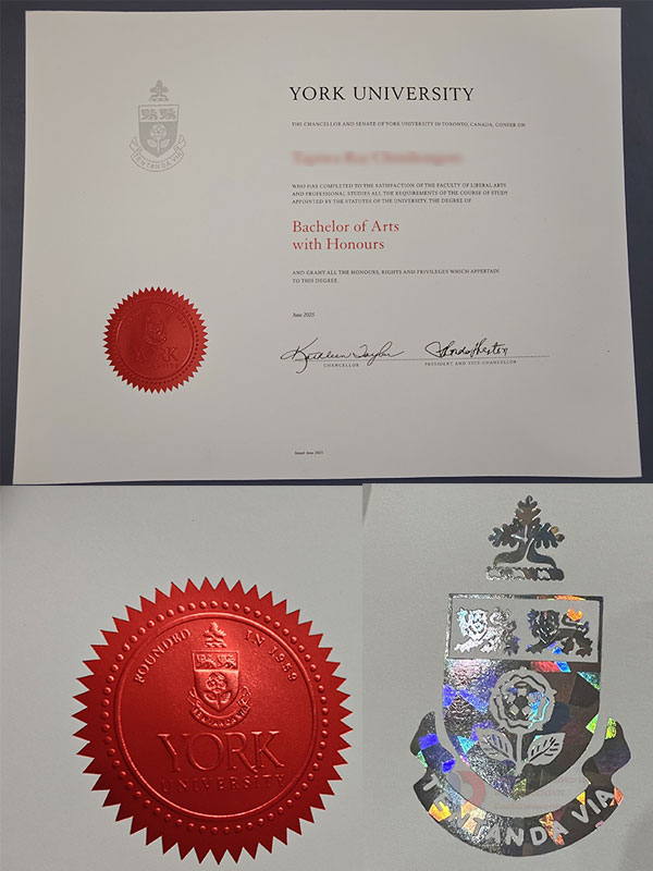 order york university degree certificate online