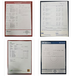 Grade Report Card