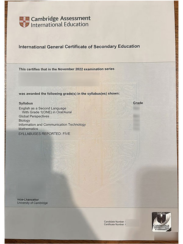 Cambridge IGCSE Certificate Effectiveness Sample