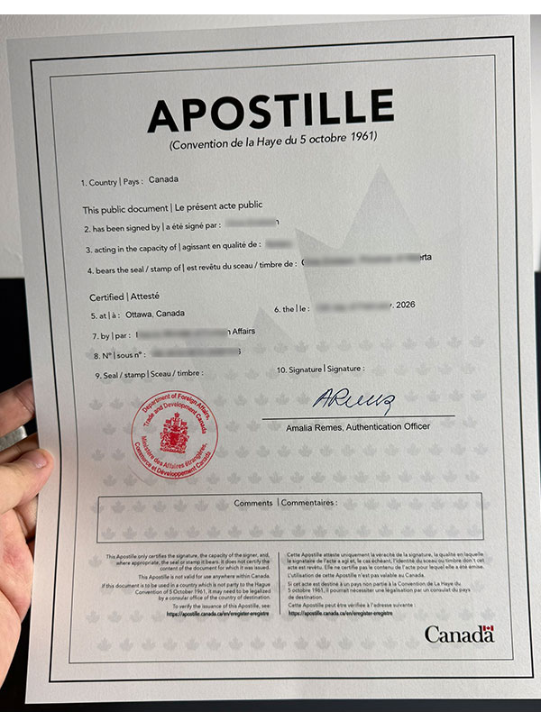 how can i obtain the hague certification documents?