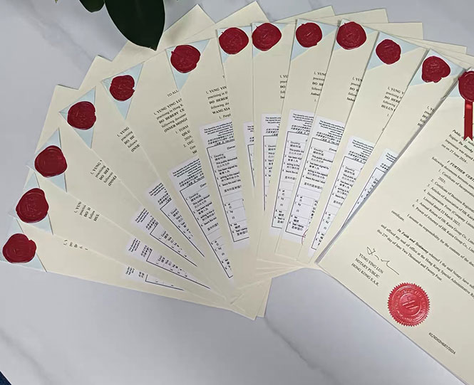How can I obtain the Hague certification documents? Certified sample from The Hague