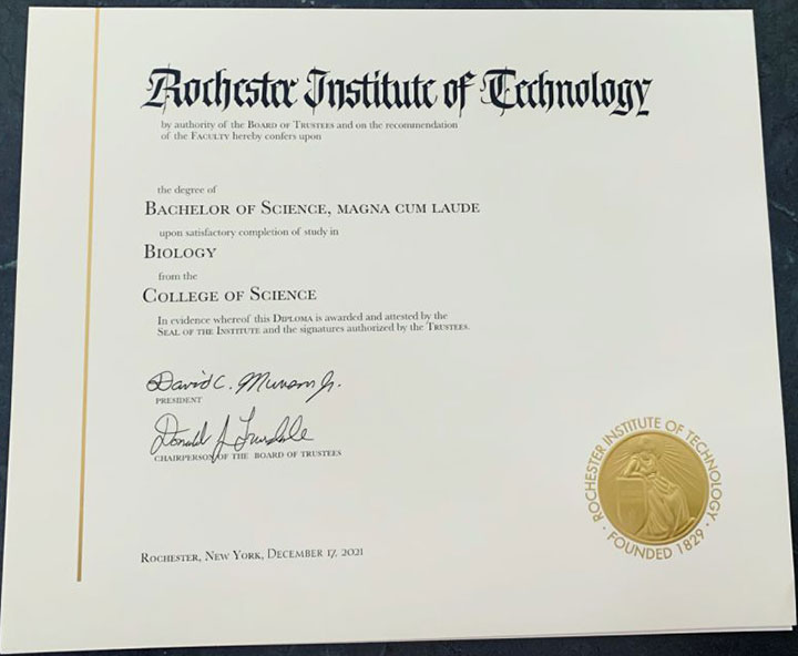 How much does it cost to purchase an RIT certificate online? - 图片 4