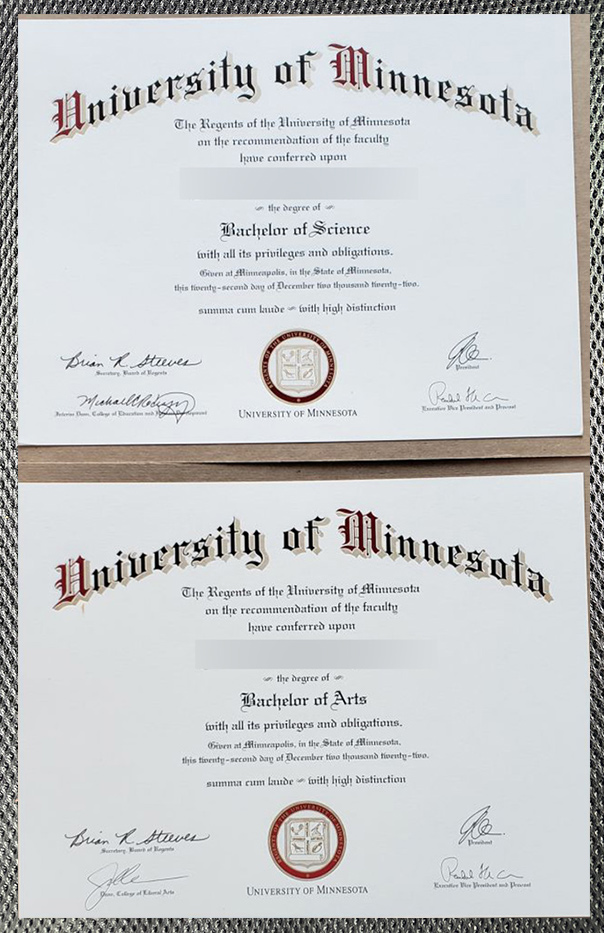 Certificate From The University Of Minnesota3 1