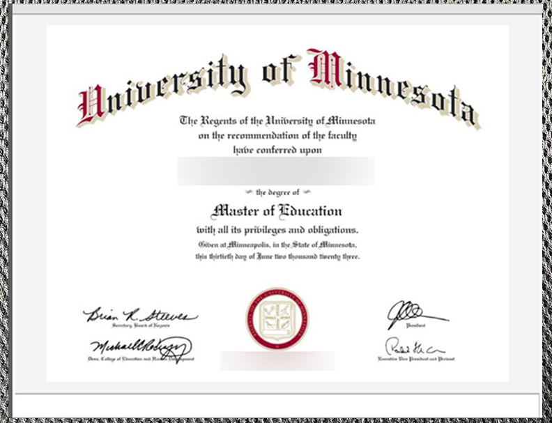 Certificate From The University Of Minnesota4 1