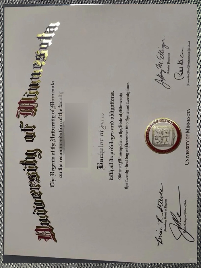 Certificate From The University Of Minnesota6 1