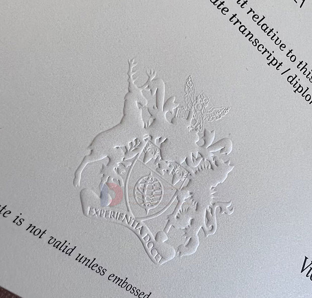 Derby University diploma