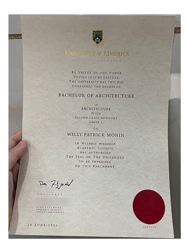 University Of Limerick Certificate