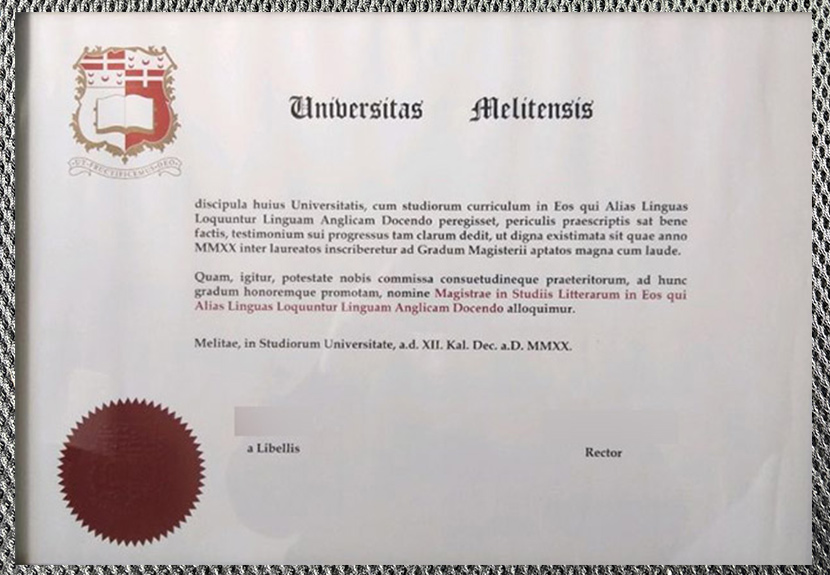 what is the university degree certificate of malta like?