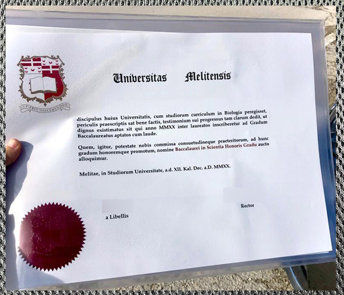 what is the university degree certificate of malta like?