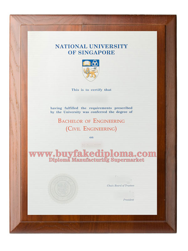 how long does it take to order a degree from the national university of singapore through the website?