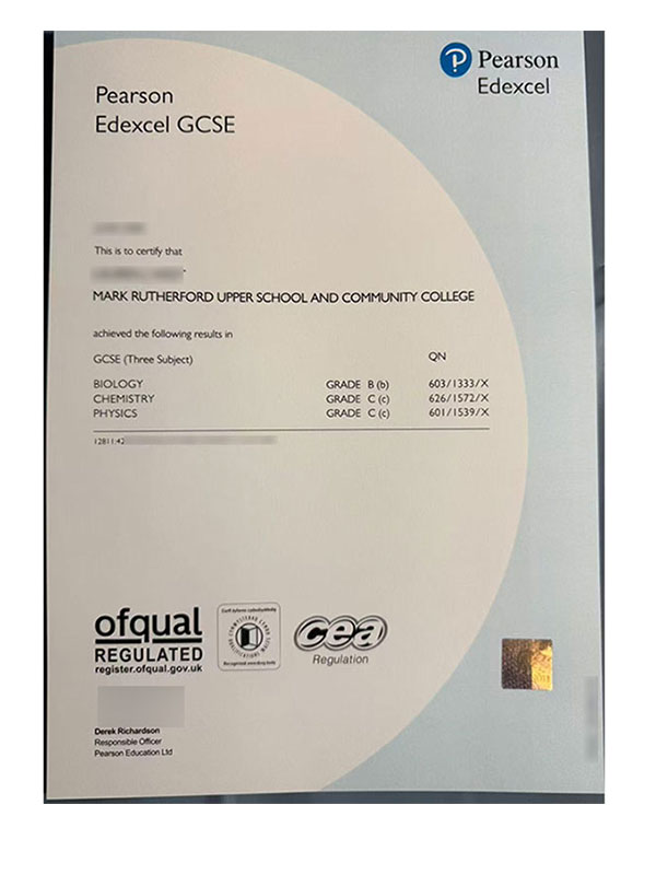 Edexcel GCSE Diploma