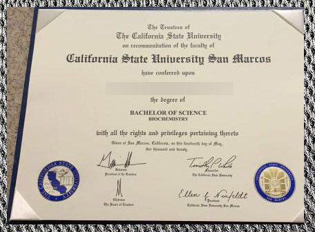 Certificate From California State University San Marcos4