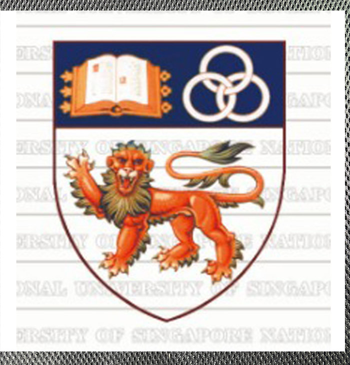 Do you need a high-quality diploma from the National University of Singapore? do you need a high quality diploma from the national university of singapore?