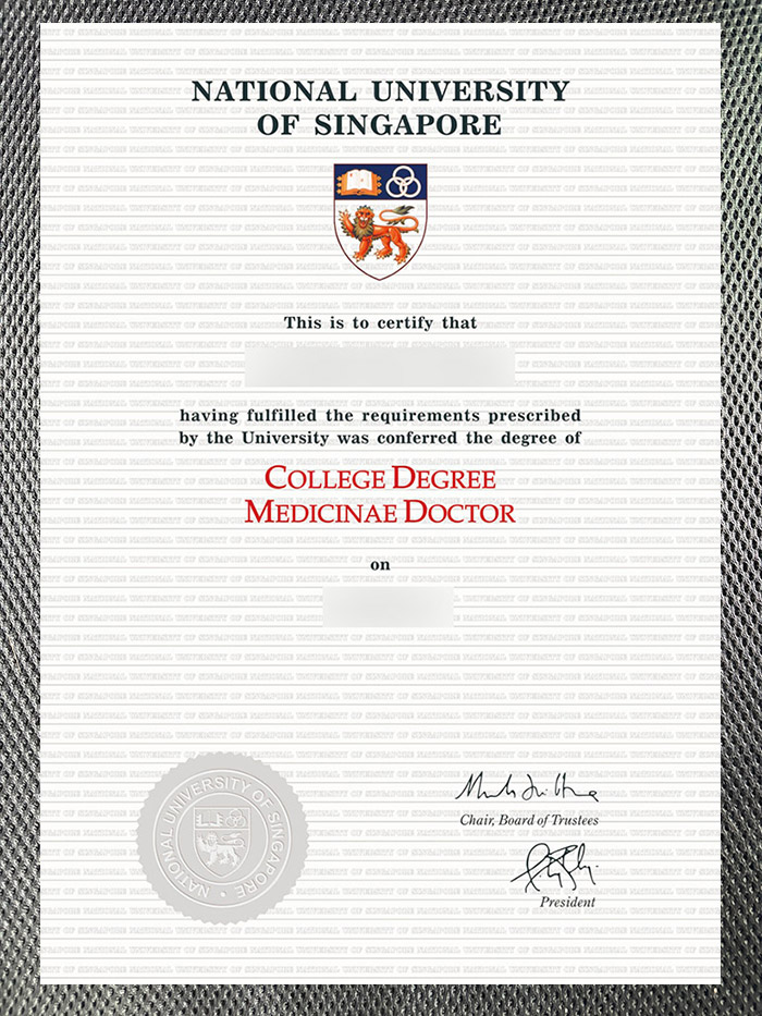 do you need a high quality diploma from the national university of singapore? do you need a high quality diploma from the national university of singapore?