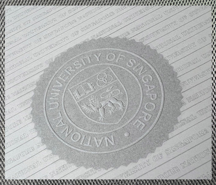 do you need a high quality diploma from the national university of singapore? do you need a high quality diploma from the national university of singapore?