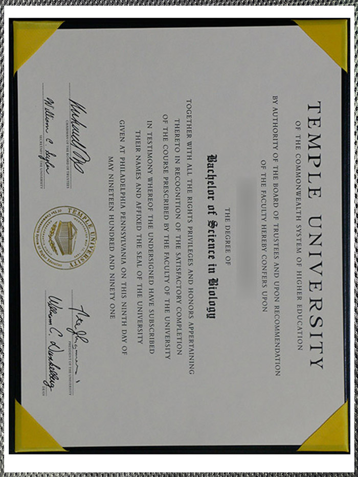 high quality diploma temple university certificate