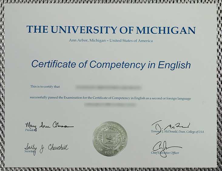 University Of Michigan1