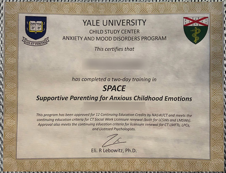 latest sample display of the certificate from yeshiva university