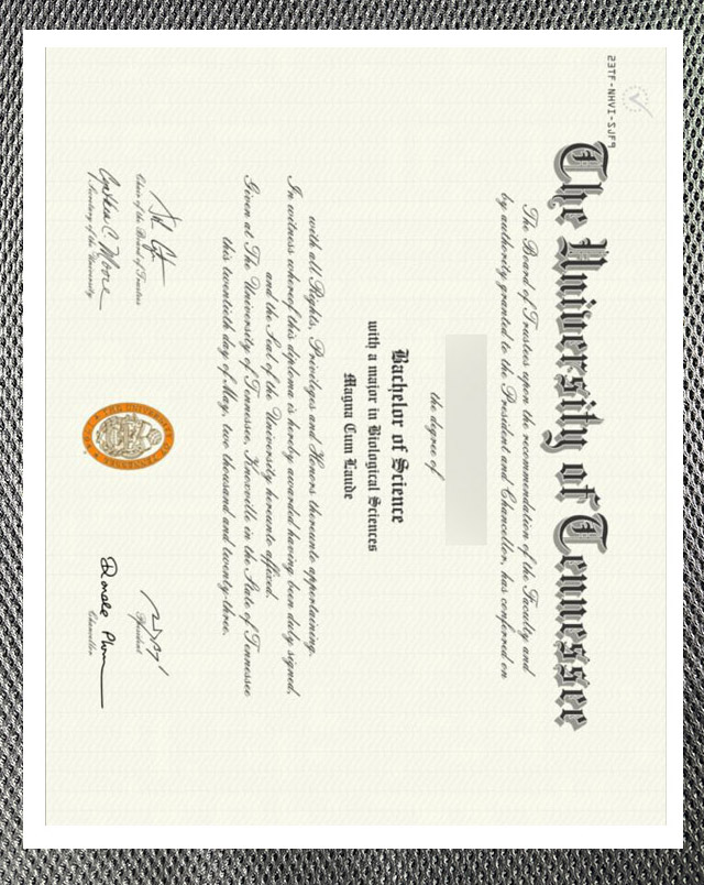 please be sure to purchase a certificate diploma from the university of tennessee.