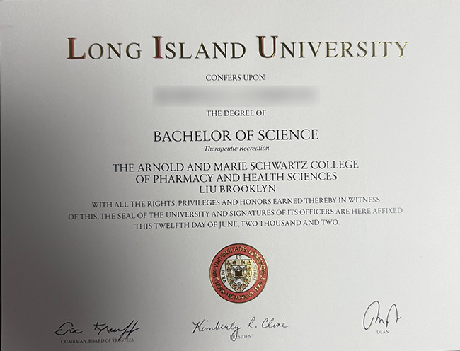 long island university